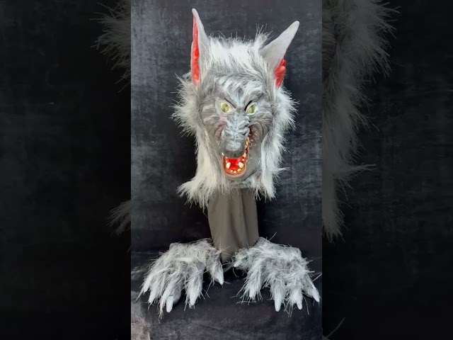 Vídeo relacionado con CDLIZW 2PCS Máscaras de Halloween,Animal Esqueleto Máscara De Halloween,Máscara Hombre Lobo,Resina Perro Cráneo Huesos Dientes Horror Terror Diablo Lobo,para Halloween,Carnaval,Fiestas
