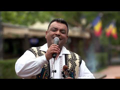 Constantin Lataretu - Salcâmule de la drum