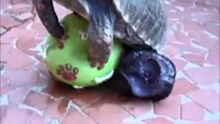 And you will never ever forget it.