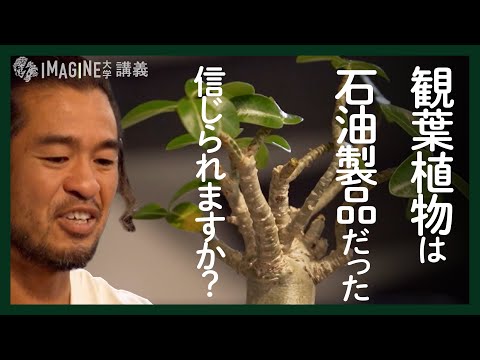 外壁緑化用の植物