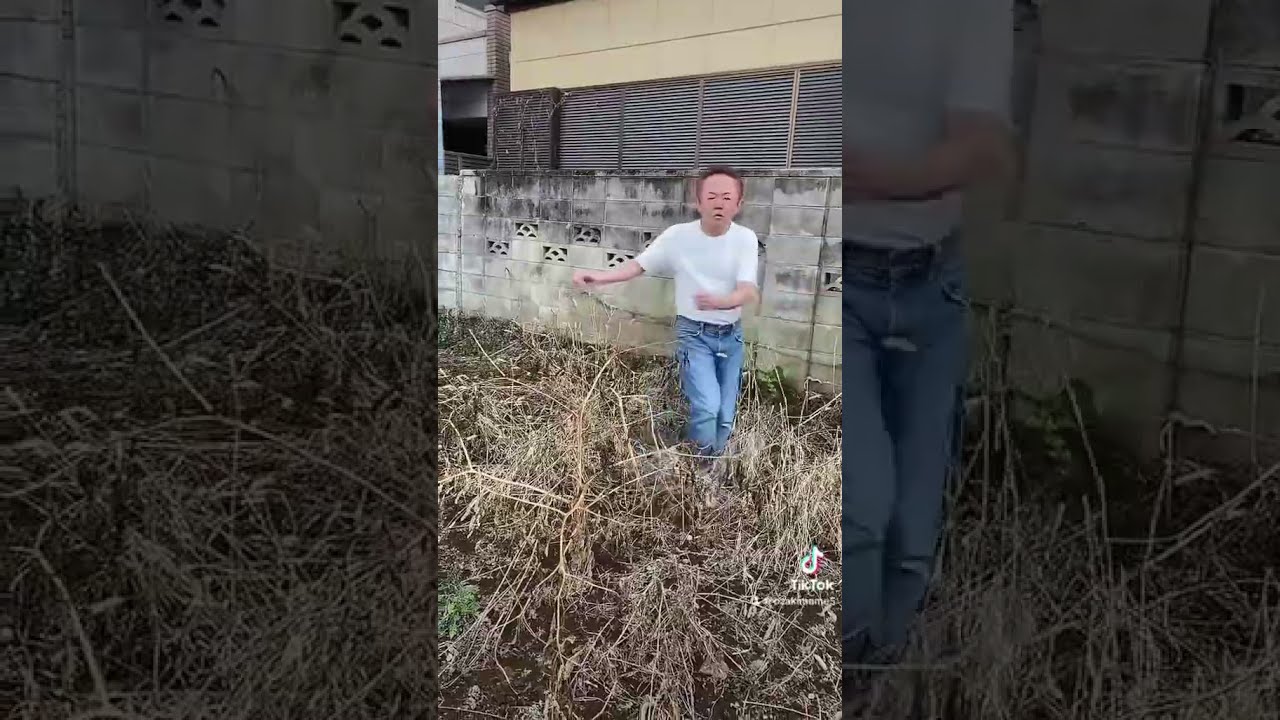 尾崎豆があらわれた　#15の昼  #尾崎豆