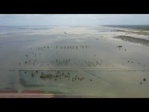 Roebuck Plains In Flood