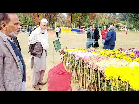 Lala mehfooz Rose Garden 3