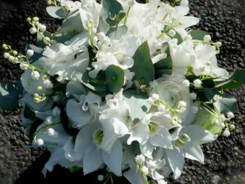 Maltese Singers 29 - Isabelle Żammit: Ġilju tal-Widien