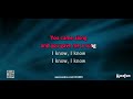 Maze Reasons Karaoke