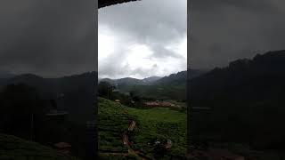 📍Cameron Valley Tea House 2. Tea and scones!!🤤