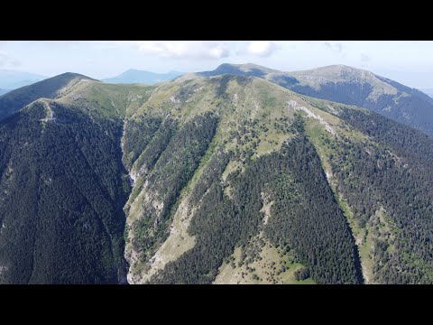 Славянка въздушна панорама