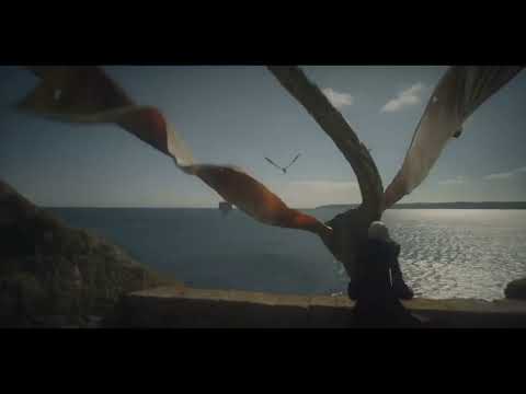 Sunfyre Screen Time: House of the dragon Season 1 (2022)