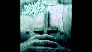 Infant Annihilator - Torn From the Womb