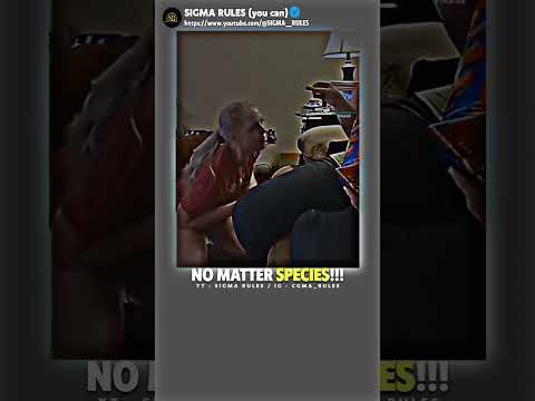 Sigma Dog🔥🔥
