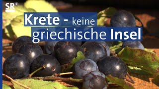 Die Urpflaume Krete ist eine unterschätzte Frucht | Genuss mit Zukunft