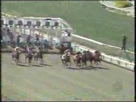 Horse Racing   Santa Anita Derby 1995 Santa Anita Park Arcadia California Larry The Legend