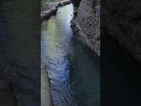 ¿LA Barranca es para BAÑARSE? #elsalvador #turismo #sonsonate #santodomingodeguzman