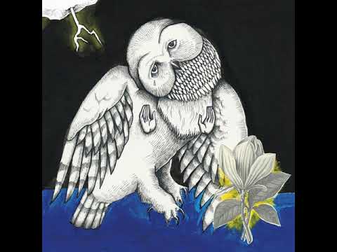 The Magnolia Electric Co. Album by Songs: Ohia