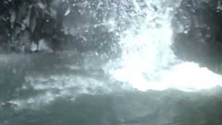 LOCAL BOII...AT THE NUUULI FALLS..DOING THE GAINER