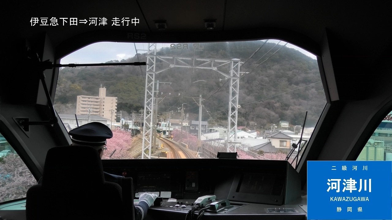 【前展望】2026年河津桜満開 特急サフィール踊り子2号 伊豆急下田～東京