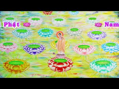 HD | Kinh A Di Đà Sớ Sao Diễn Nghĩa, tập 237 [phụ đề] - Lão Pháp Sư Tịnh Không