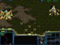 Starcraft Protoss 7: Homeland 