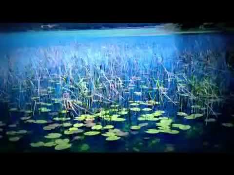 download lagu mp3 mp4 Trkiye Tantm, download lagu Trkiye Tantm gratis, unduh video klip Trkiye Tantm