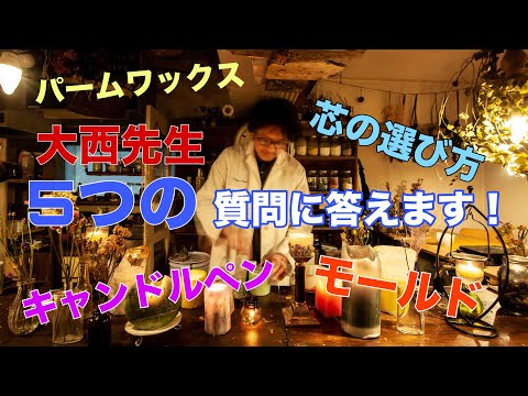 園芸 クイーンズ パーム、フェザーリー ココナッツ、ロマンゾフ ココナッツ、アレカストルム パーム