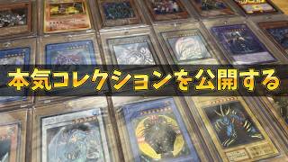 【#遊戯王 】コツコツ集めた貴重なコレクションたち【#遊戯王ocg 】