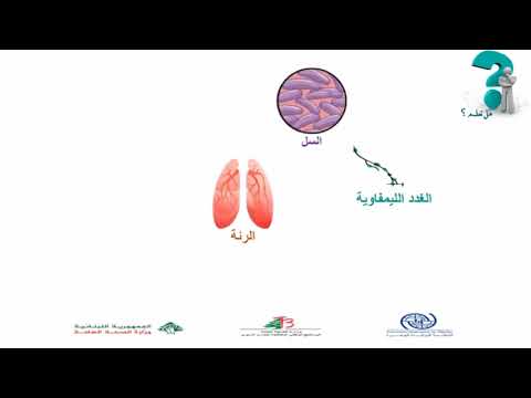 Video 10