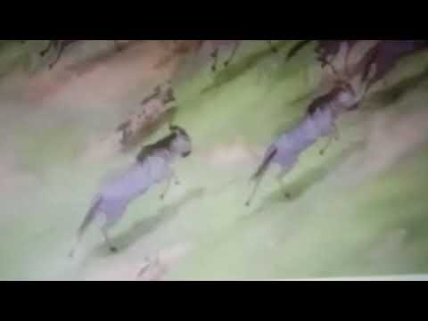 The dog man king part 9 stampede