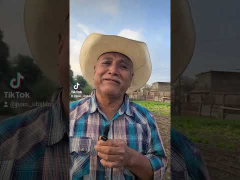 Agricultura santa Lucía  milpas altas sacatepequez Guatemala