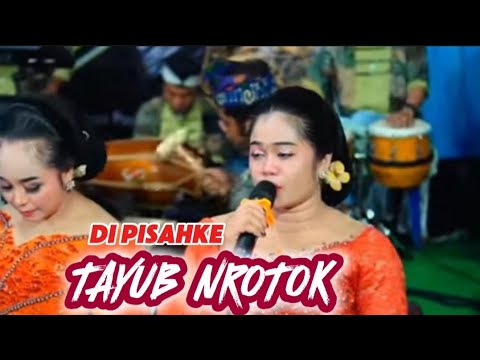 TAYUB VERSI BARU- NROTOK -DI PISAHKE