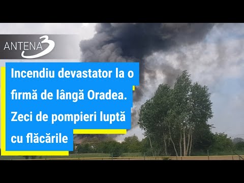 Incendiu devastator la o firmă de lângă Oradea. Zeci de pompieri luptă cu flăcările