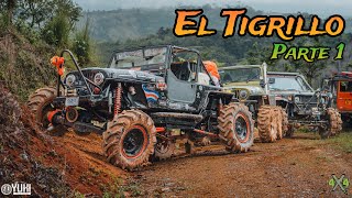 Miniatura de Gira El Tigrillo