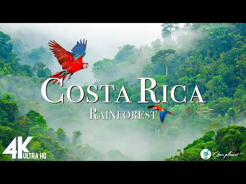 Costa Rica Rainforest 4k - Relaxing Music Along With Beautiful Nature Videos (4K Video Ultra HD)