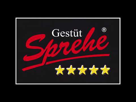 Coupe Gold (DVD 2019