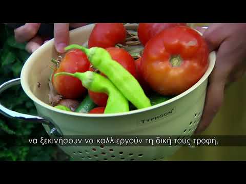 A Seed for Change trailer