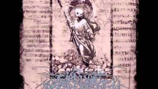 Circle Of Dead Children - Starve, Beg & Die a.k.a. Fuck You Kill Me