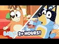 Best Bluey Dance Moments And More 2 HOURS Move Around With Bluey Bluey