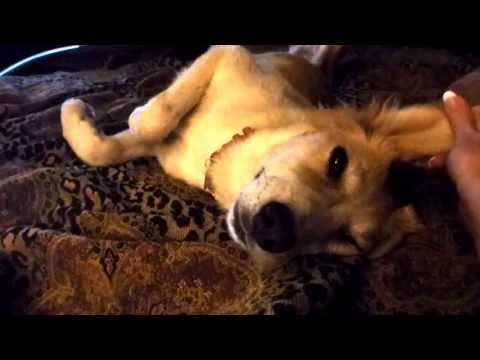 Aneesa - getting ready to bed down for the night