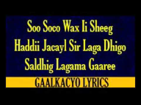 Maxamed mooge liibaan heestii Saynla libaaxoo