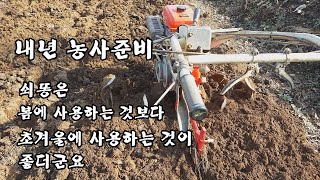 내년농사준비-쇠똥은 봄에 사용하는 것보다 초겨울에 사용하는 것이 좋더군요