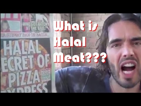 Why do Muslims Eat Halal Meat?