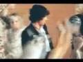 Katy Perry - Hot N Cold Official Music Video