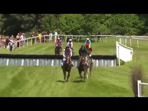 2015.06.13 Svenskt Champion Hurdle - Omoto Sando