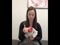 Female Pelvic Anatomy Vulva Vs Vagina