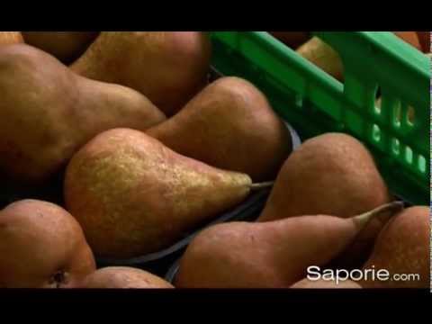 download lagu mp3 mp4 Calorie Pera Kaiser, download lagu Calorie Pera Kaiser gratis, unduh video klip Calorie Pera Kaiser