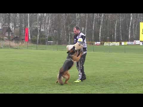 Svod NO 2017 - Cindy Riwal Hof