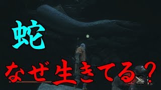 #6 蛇は2匹いる説【隻狼】緩い縛りで2週目