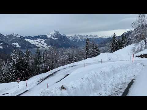 Tyson im Niederurner Täli