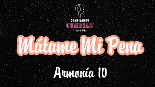 Mátame Mi Pena Lyrics English Translation