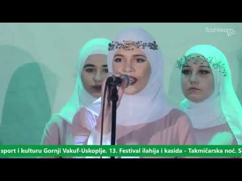 VIS MERAK SAPNA "Gel Gör Beni Aşk Neyledi" - solista Amina Kunić