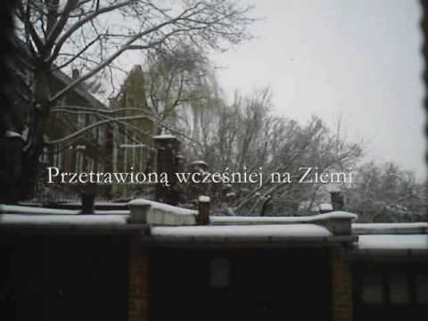 Piwnica pod Baranami - Konwalie, bzy albo pet